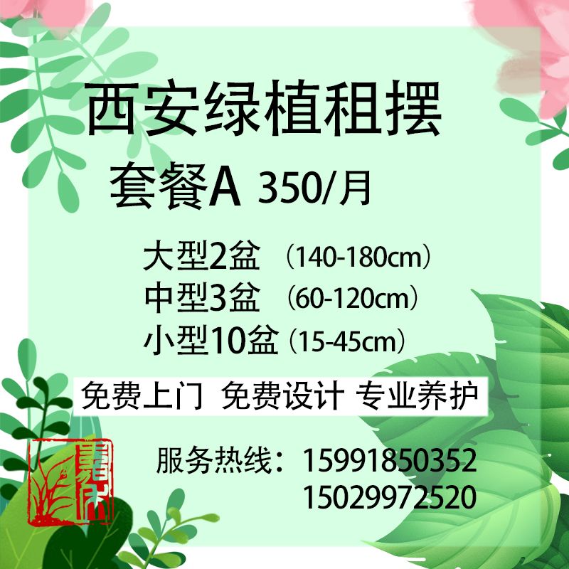 西安花卉、綠植租擺套餐