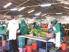 &ldquo;園藝旅游&rdquo;或成全球農(nóng)業(yè)旅游新趨勢