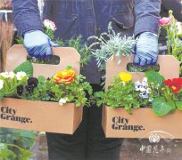 疫情后,美國園藝產(chǎn)業(yè)將呈現(xiàn)六大趨勢