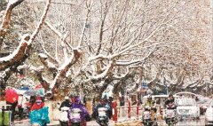 抓好冬護(hù)時(shí)機(jī)園林植物可全年健壯