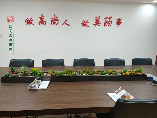 辦公室綠植租擺效果圖|西安嘉禾苗圃