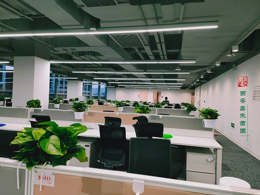 西安辦公室綠植花卉租擺擺放風(fēng)水禁忌