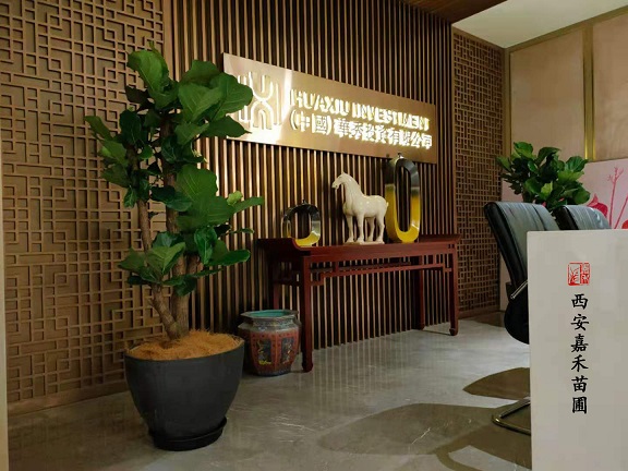 辦公室前臺綠植租擺|西安嘉禾苗圃