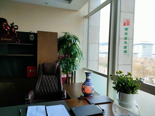 西安辦公室租擺花卉綠植