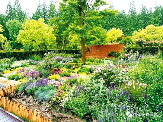 花境施工養(yǎng)護|西安嘉禾苗圃