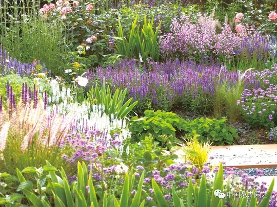 &ldquo;花境之路&rdquo;的設(shè)計(jì)、施工與養(yǎng)護(hù)