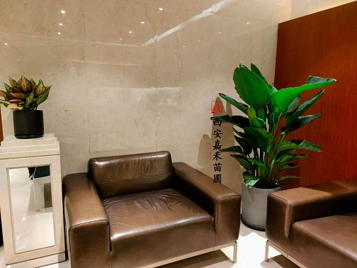 辦公室綠植租賃怎么擺放才能增加運勢？