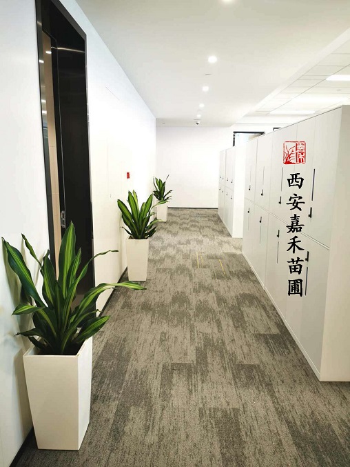 西安綠植租賃服務(wù)|西安嘉禾苗圃