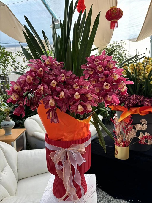 西安花卉租賃年宵花|西安嘉禾苗圃